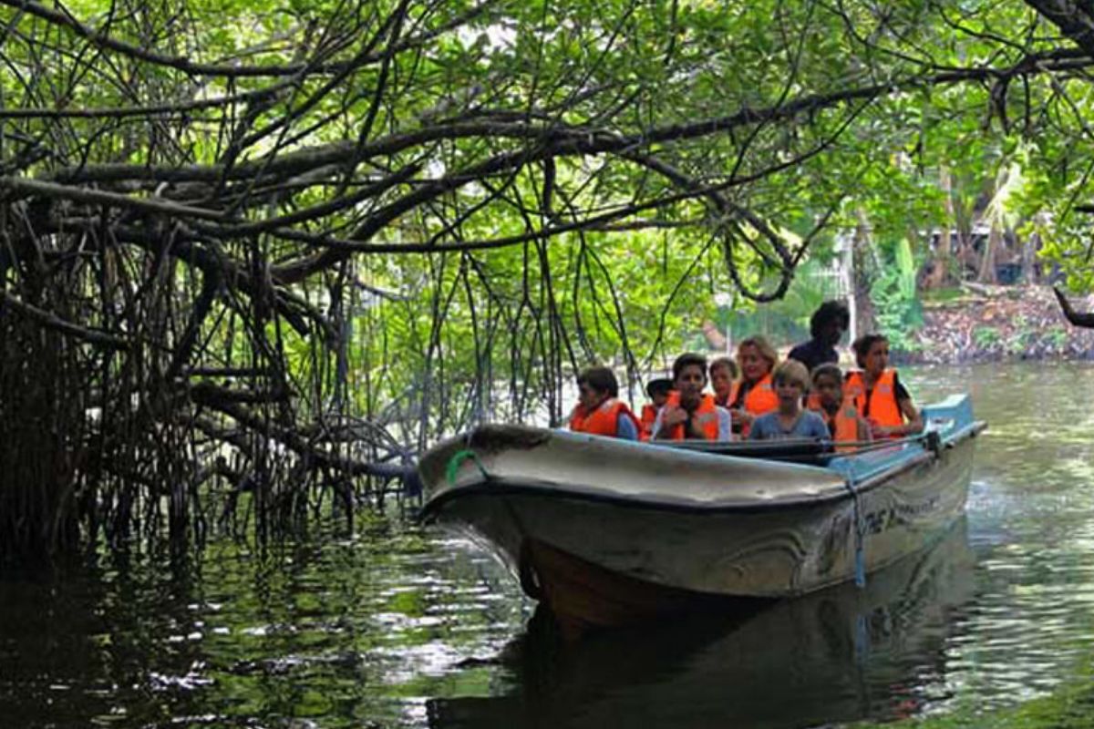 boat safari