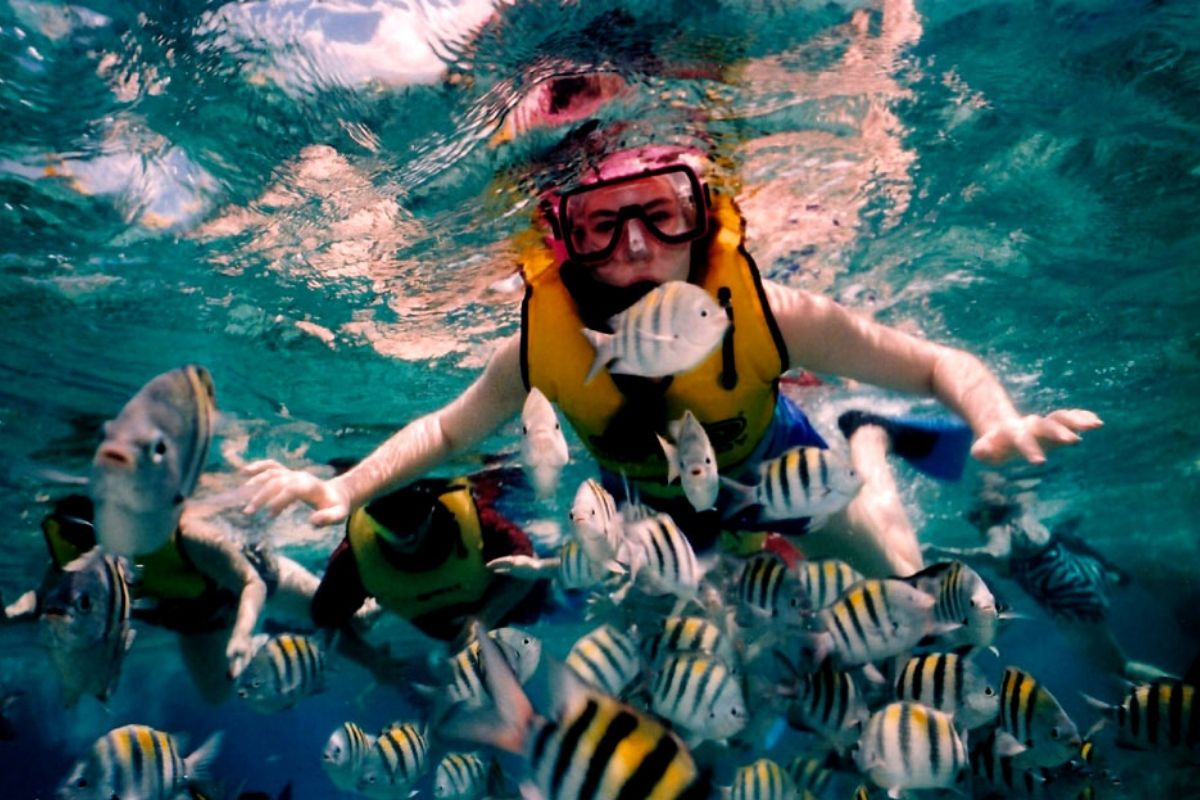 snorkeling in sri lanka