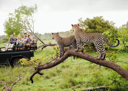 yala national park