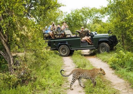 yala national park in sri lanka